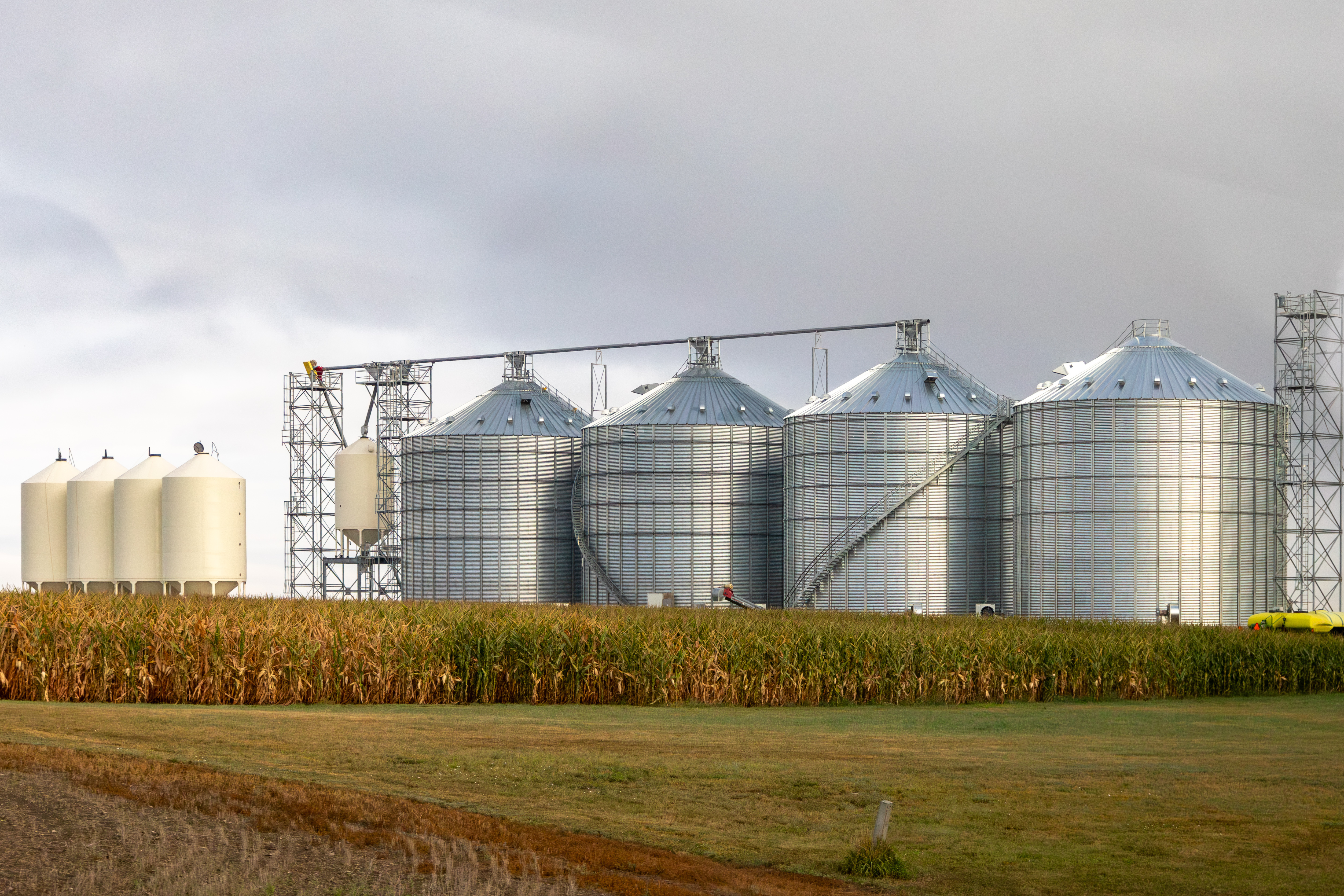 Tea City Silos